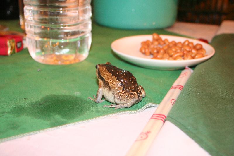 Siem Reap 32.jpg